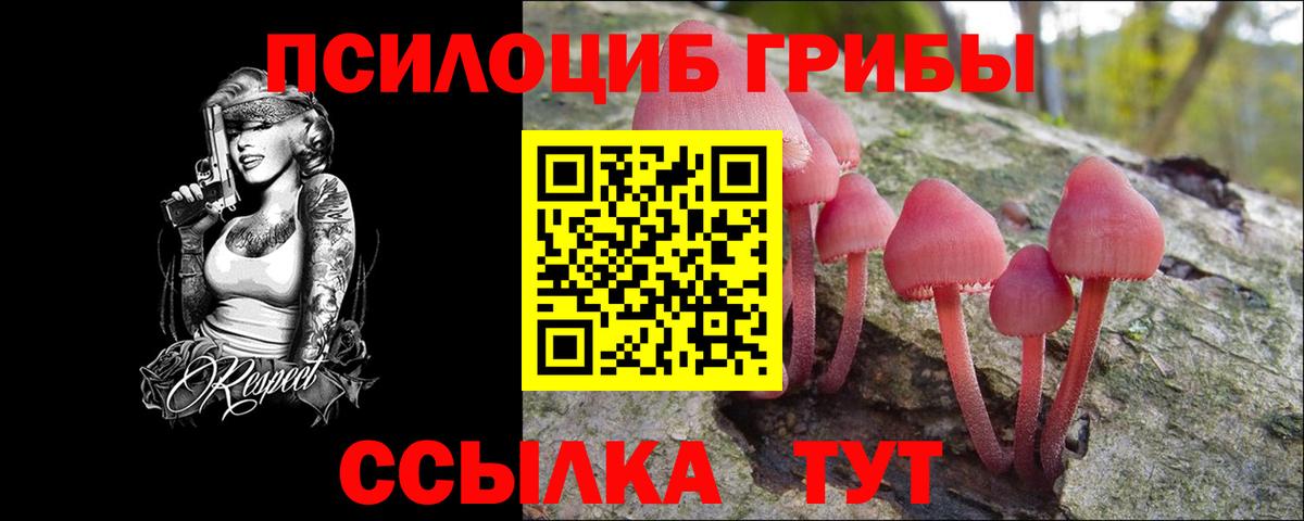 Галлюциногенные грибы Psilocybe Сокол